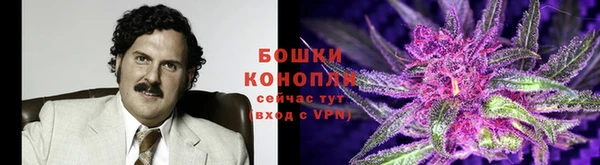 индика Балабаново