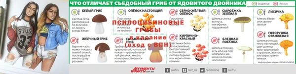 индика Балабаново