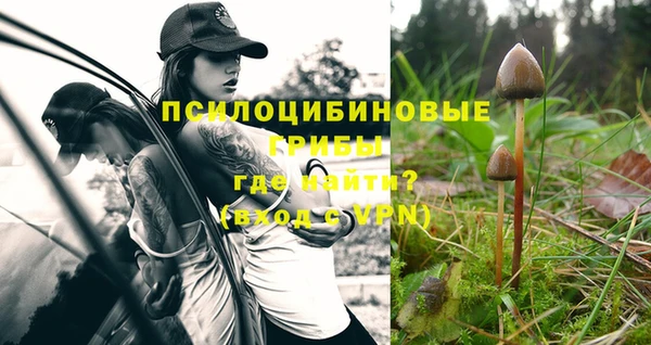 индика Балабаново
