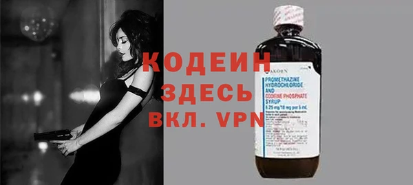 индика Балабаново