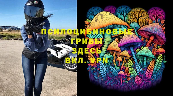 индика Балабаново