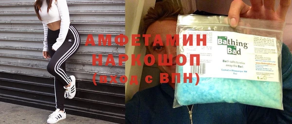индика Балабаново