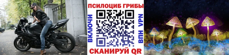 Галлюциногенные грибы Psilocybine cubensis Коммунар
